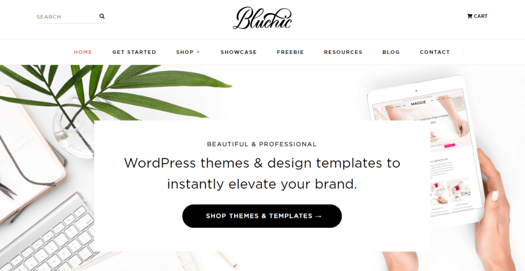 Bluchic WordPress Theme Shop