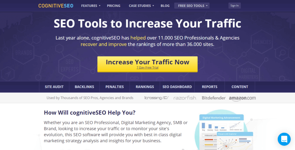 Best Paid SEO Tools - SEO Tools to Increase Your Traffic - cognitiveSEO - cognitiveseo.com.png
