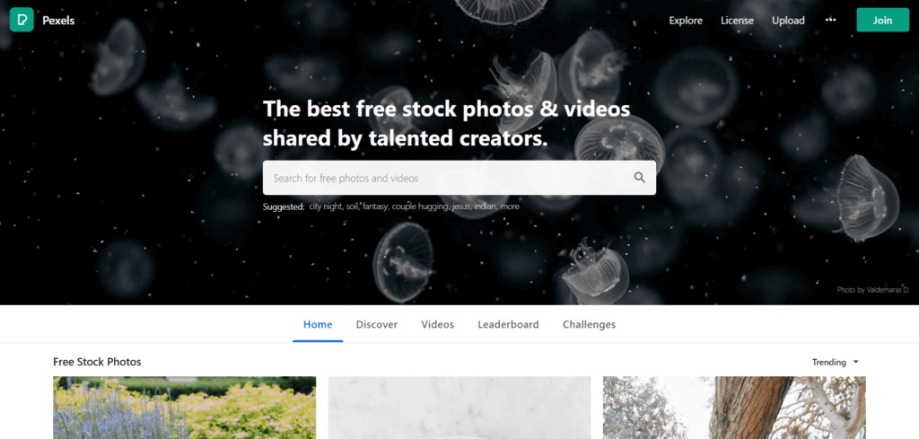 Free-stock-photos-·-Pexels